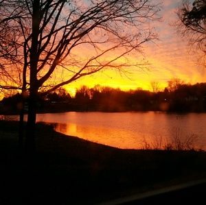 Meet your Posher, Heidi